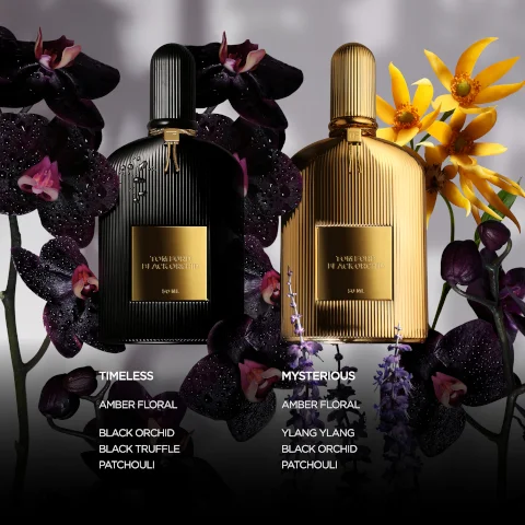 TORFORD BLACK ORCHID YOMFORT NACKORD M TIMELESS AMBER FLORAL BLACK ORCHID BLACK TRUFFLE PATCHOULI MYSTERIOUS AMBER FLORAL YLANG YLANG BLACK ORCHID PATCHOULI