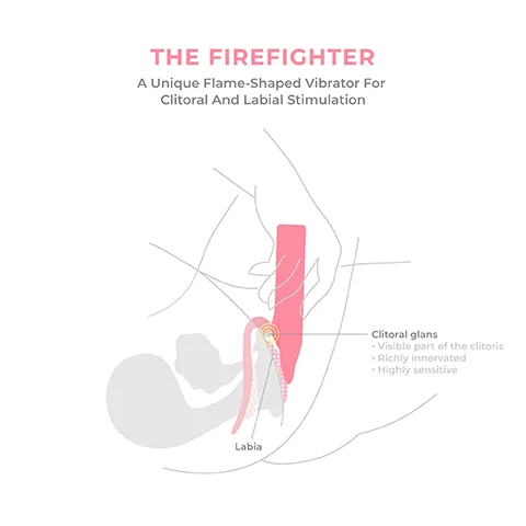 A Unique Flame-Shaped Vibrator For Clitoral And Labial Stimulation Labia Clitoral glans Visible part of the clitoris Richly innervated Highly sensitive