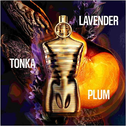 Image 1 - A golden perfume bottle is surrounded by lavender, tonka beans, and a slice of plum, with the words TONKA, LAVENDER, and PLUM displayed prominently around it.
Image 2 - Image shows four bottles of perfume with a mannequin design, labeled LE MALE, LE PARFUM, ELIXIR, and ELIXIR ABSOLU, with descriptions of their scent profiles: Amber AROMATIC, Woody AMBER, Aromatic AMBER, and Amber AROMATIC, alongside an intensity slider at the bottom.