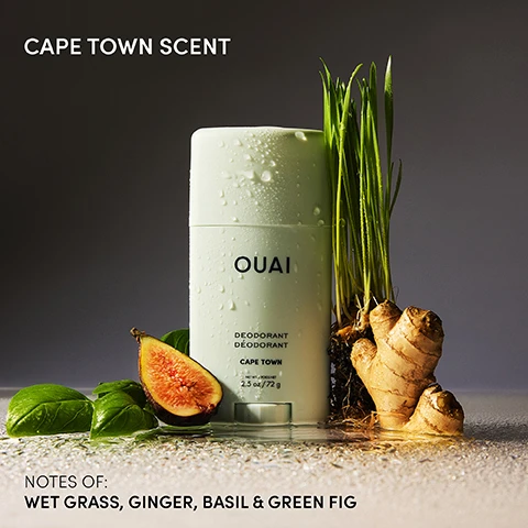 Image 1 - A light green deodorant stick covered in water droplets stands alongside a halved green fig, basil leaves, ginger root, and tall green grass, all appearing damp, with visible text that reads CAPE TOWN SCENT, OUAI DEODORANT DÉODORANT CAPE TOWN NET WT. / POIDS NET 2.5 oz / 72 g, and NOTES OF: WET GRASS, GINGER, BASIL & GREEN FIG. Image 2 - A person with wet hair is shown holding a light green Ouai Cape Town deodorant stick, with text on the image proclaiming NEW CAPE TOWN DEODORANT, GOES ON CLEAR, ALUMINUM-FREE, and SMELL FRESH FROM THE SHOWER FOR 24 HOURS, while the deodorant itself is labeled OUAI DEODORANT DÉODORANT CAPE TOWN NET WT. / POIDS NET 2.5 OZ / 70 G. Image 3 - Three light green Ouai deodorant sticks, two standing upright and one lying open to show the product, are visible with their labels reading Ouai Deodorant Déodorant Cape Town Net Wt. / Poids Net 2.5 oz / 72 g, and below them are five icons with text Aluminum-Free, Baking Soda-Free, Cruelty-Free, Recyclable, and Sustainable. Image 4 - A motion-blurred image of a person in light green athletic wear with an arm raised, featuring the text Swipe Your Scent, New Cape Town Deodorant, and Smell Like You Just Stepped Out of the Shower. Image 5 - A woman with wet hair wearing a green sports bra applies a white OUAI deodorant stick to her armpit, with text on the image reading GOES ON CLEAR and the product label showing OUAI DEODORANT CAPE TOWN NET WT. / poids net 2.5 oz. / 72 g. Image 6 - A light green Ouai deodorant stick with its cap off is shown on a textured surface, with text labels detailing its ingredients and benefits: OUAI DEODORANT DÉODORANT CAPE TOWN 2.5 oz / 72 g, and callouts for TAPIOCA STARCH HELPS ABSORB MOISTURE, SHEA BUTTER HYDRATES, LEAVES SKIN LOOKING SOFT & SMOOTH, PIROCTONE OLAMINE NEUTRALIZES BODY ODOR & HELPS YOU STAY FRESH, and COCONUT OIL MOISTURIZES & NOURISHES SKIN.