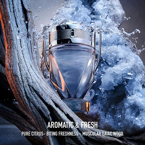 A trophy-shaped perfume bottle with light blue liquid is surrounded by water splashes, a crystal geode, and gnarled wood, with the text AROMATIC & FRESH PURE CITRUS - BITING FRESHNESS - MUSCULAR GAIAC WOOD.