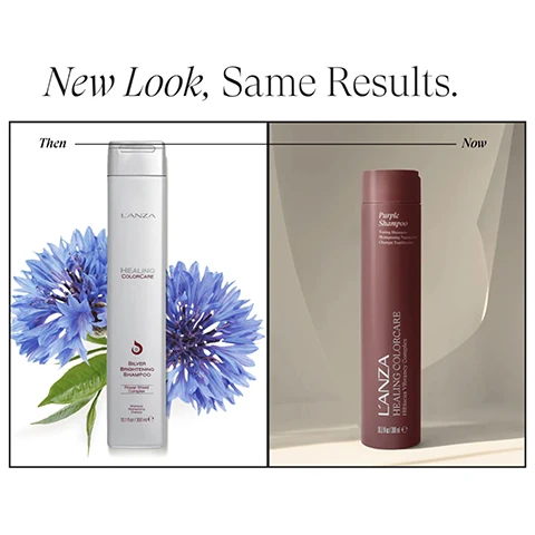 Image 1 - A split image shows the Then and Now versions of a LANZA shampoo, with the left side featuring a silver bottle of Silver Brightening Shampoo surrounded by blue flowers, and the right side featuring a reddish-brown bottle of Purple Shampoo, with the visible text New Look, Same Results. Then LANZA HEALING COLORCARE SILVER BRIGHTENING SHAMPOO Flower Shield Complex 10.1 fl oz / 300 ml e Now Purple Shampoo Banish Brassy, Yellow Tones For Blonde, Silver & Gray Hair LANZA HEALING COLORCARE Hibiscus Vibrancy Complex 10.1 fl oz / 300 ml e. Image 2 - A side-by-side image of blonde hair before and after treatment, showing a transition from golden-blonde on the left to lighter, cooler-toned blonde with waves on the right, labeled BEFORE and AFTER.