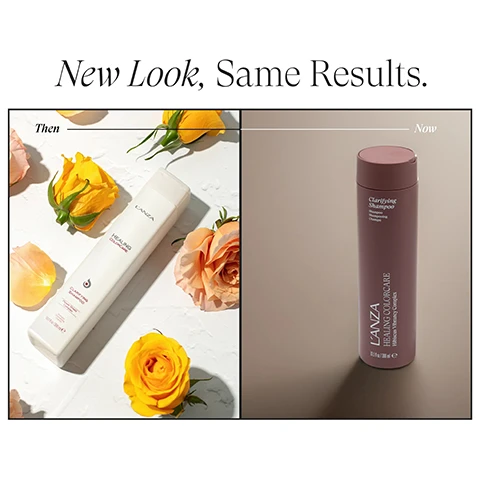 Image 1 - A split image titled New Look, Same Results, contrasts two shampoo bottles: the Then side displays a white bottle labeled LANZA HEALING COLORCARE CLARIFYING SHAMPOO Daily Chelating Shampoo Sulfate, Paraben & Gluten Free 300 ml e 10.1 fl oz. surrounded by yellow and peach roses, while the Now side features a rose-colored bottle labeled Clarifying Shampoo Daily Chelating Shampoo LANZA HEALING COLORCARE Hibiscus Vibrancy Complex 300 ml e 10.1 fl oz. on a plain background. Image 2 - A before and after comparison of blonde hair: on the left, tangled and frizzy hair labeled BEFORE; on the right, smooth, wavy, and shiny hair labeled AFTER.