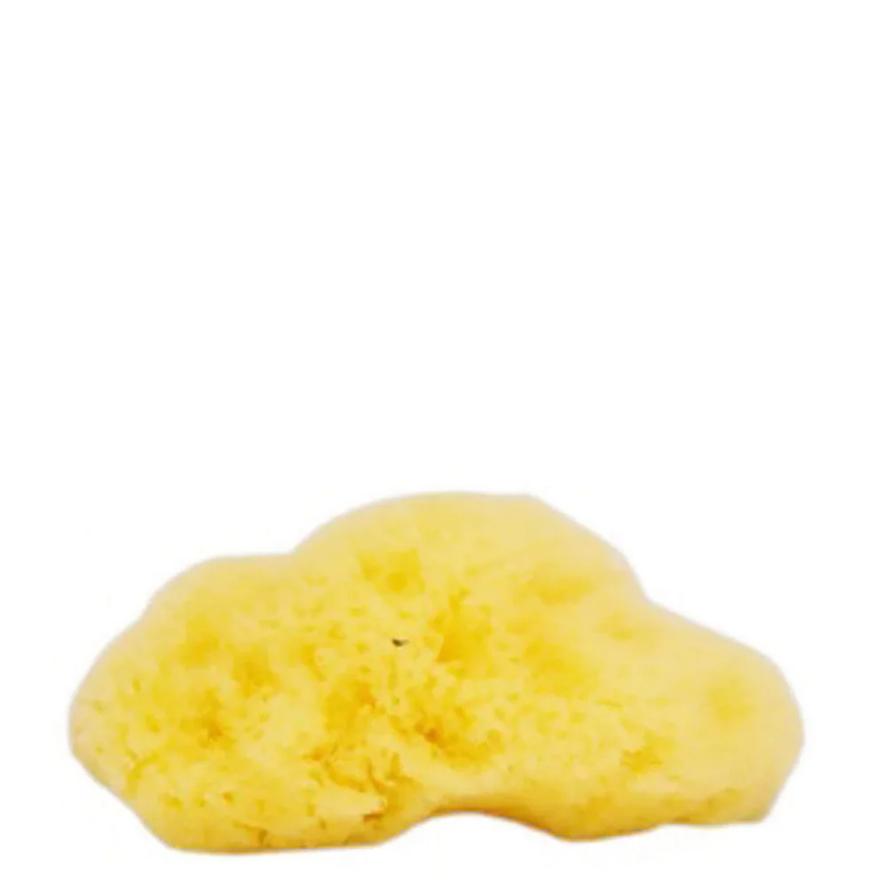 Натуральная морская губка Natural Sea Sponge Company - Fina Silk Sea Sponge (прибл. 7,6 см) Image 1