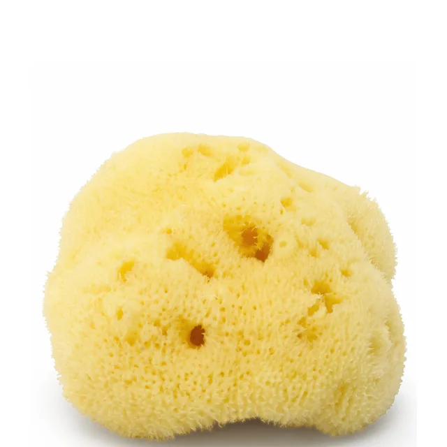 Губка для очищения лица ARgENTUM la lune sur l'eau Silk Sea Face Sponge